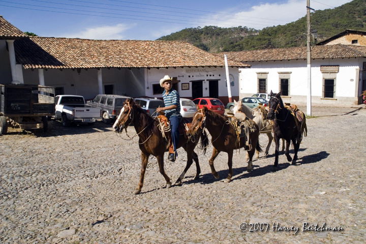 Riding Horses No-1185.jpg